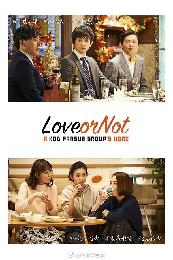 《Love or Not》全集高清完整版在线观看与剧情解析