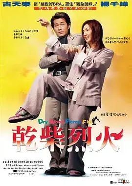 《干柴烈火2002[电影解说]》全集高清完整版在线观看与剧情解析