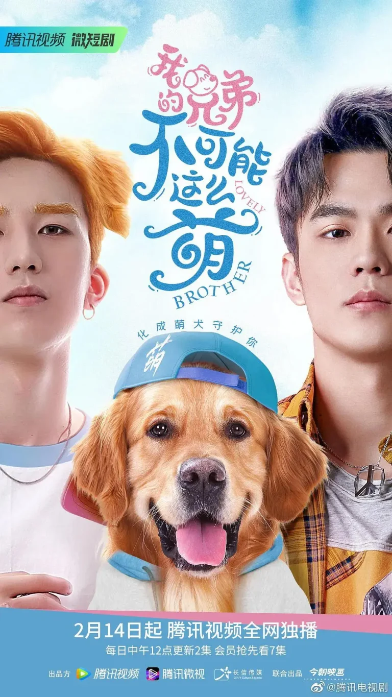 《我的兄弟不可能这么萌》全集高清完整版在线观看与剧情解析