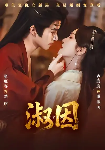 《淑因》全集高清完整版在线观看与剧情解析