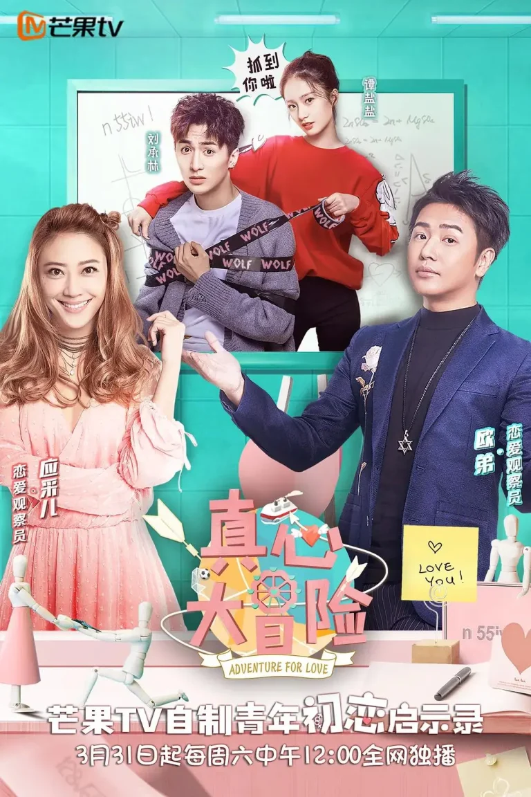 《真心大冒险》全集高清完整版在线观看与剧情解析