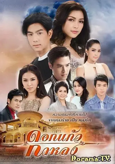 《迷失的七里香》全集高清完整版在线观看与剧情解析