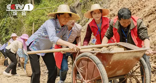 《山海情》《大山的女儿》等五部剧获央媒公开肯定：情报图